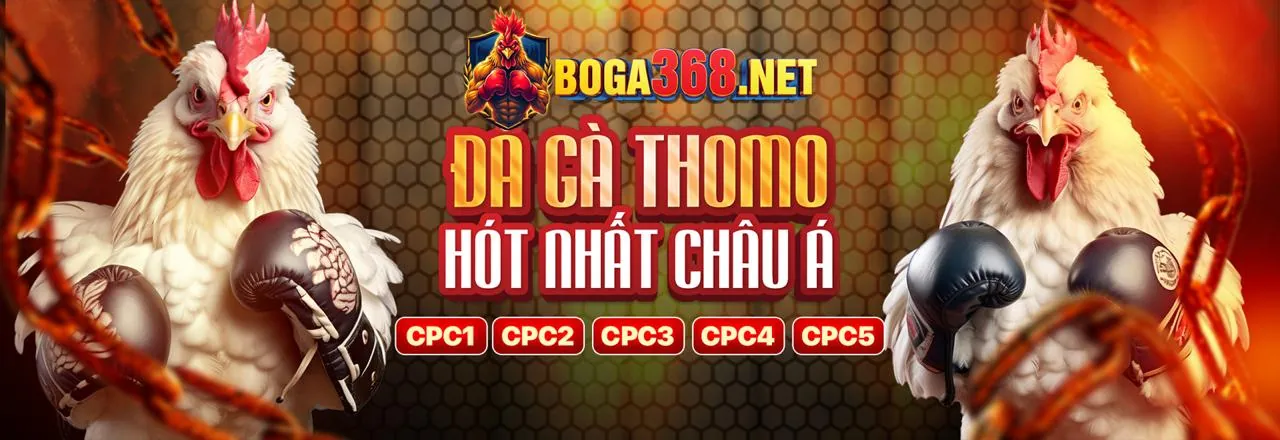 Trải nghiệm cá cược trực tuyến tại bk8plus Win