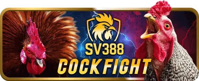 Phương thức thanh toán an toàn tại bk8plus win